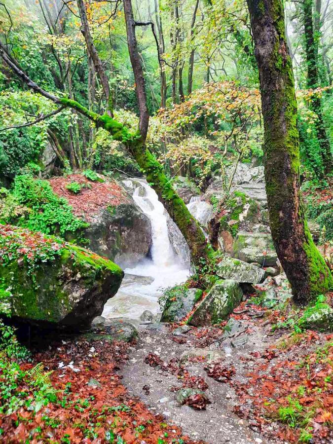 A Dream Deferred Villa Pelion Kissos  Bagian luar foto