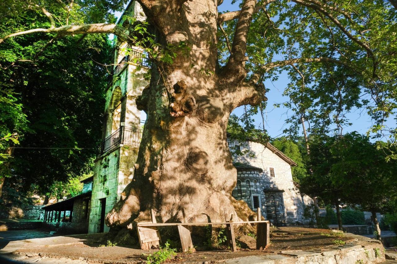 A Dream Deferred Villa Pelion Kissos  Bagian luar foto
