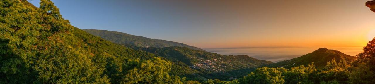 A Dream Deferred Villa Pelion Kissos  Bagian luar foto